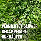 COMPO Rasenunkraut-Vernichter Banvel Quattro - 4