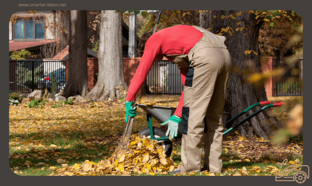 Die beste Rasenpflege im Herbst – In 7 Schritten in den Winter – Laub einsammeln
