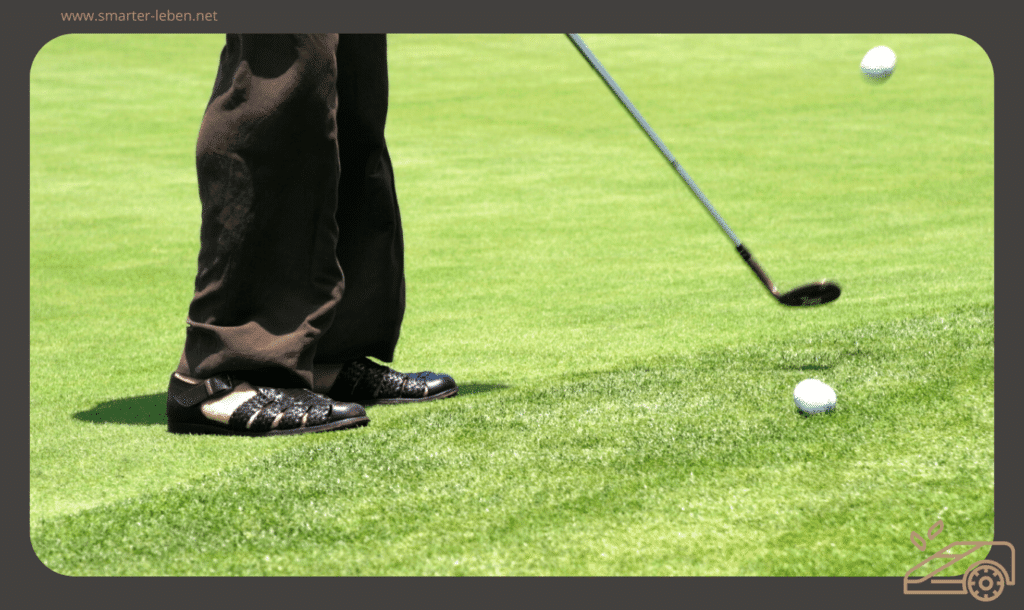 Golfrasen - Rasentypen in der Übersicht