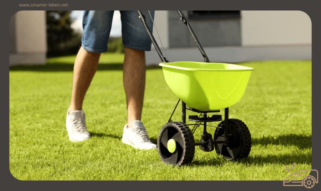 Rasen im Sommer Düngen - Pflege für deinen Garten