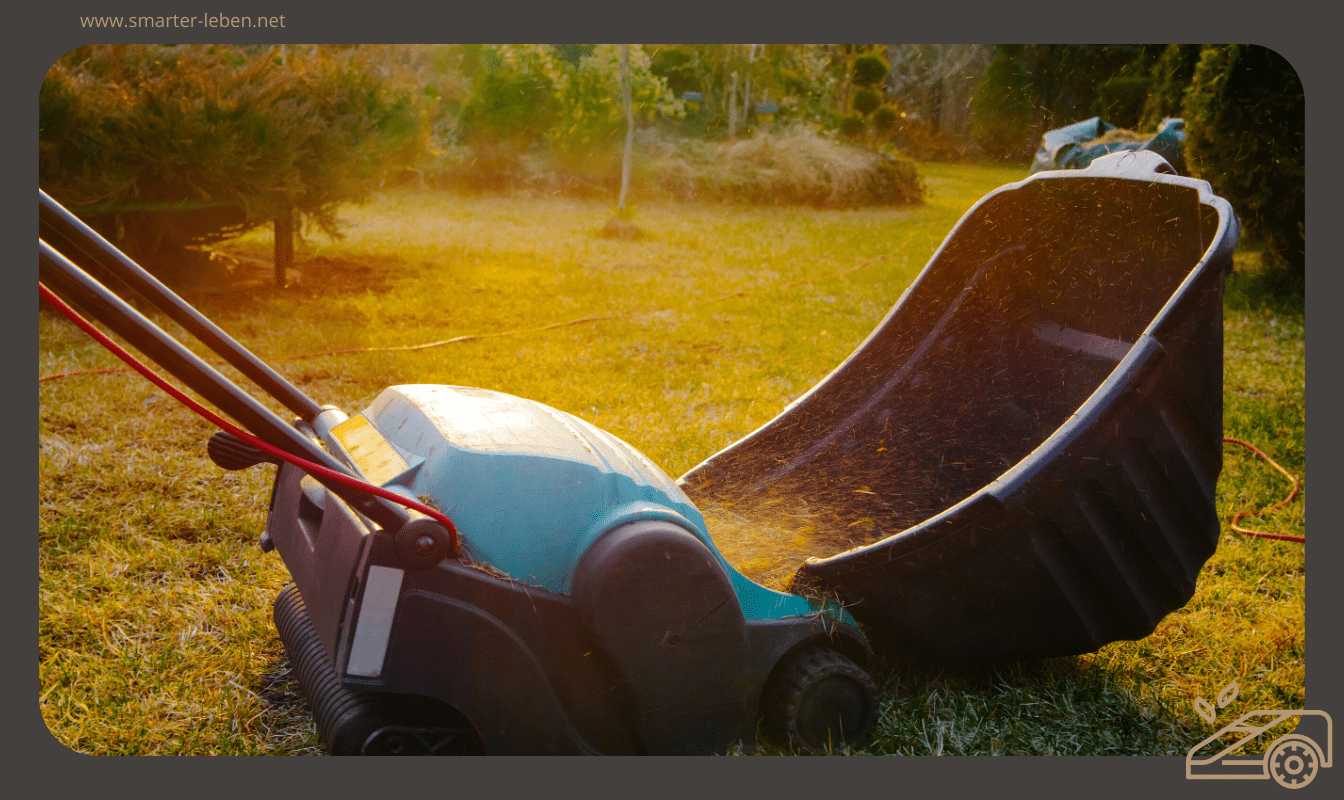 Rasen richtig Sanden Welche Vorteile du davon hast