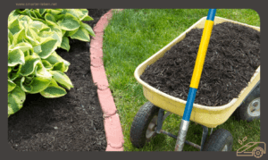 Der perfekte Rahmen für deinen Rasen - Optimal für Mähroboter