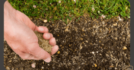 Rasensamen säen - Rasen richtig anlegen - die besten Tipps und Tricks