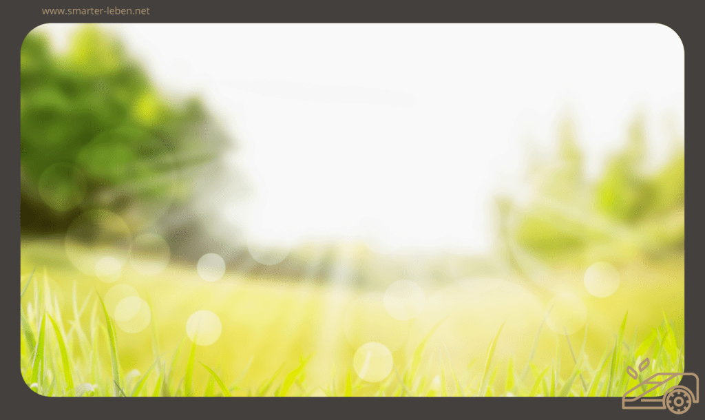 Frühjahrs-Rasenpflege: 5 Dinge, die du jetzt tun solltest, um deinen