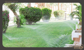 Den Rasen richtig anlegen - die besten Tipps und Tricks